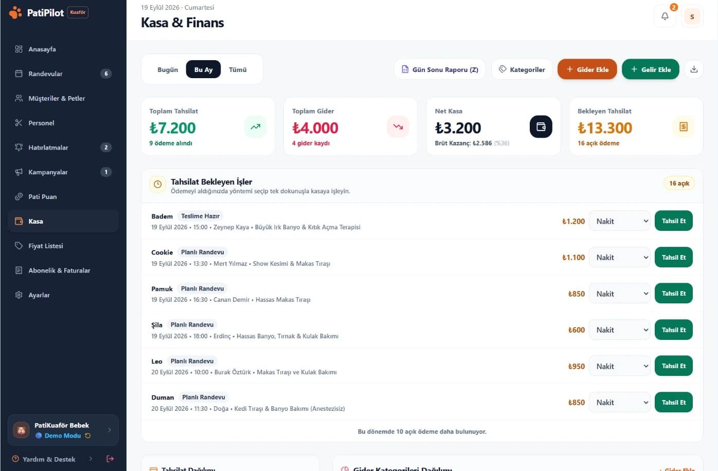 Pet kuaför işletmesinin kasa, gelir ve gider takibi